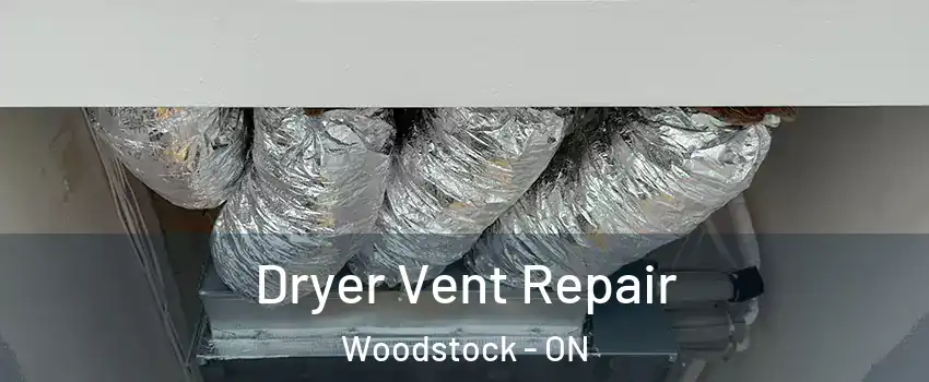  Dryer Vent Repair Woodstock - ON