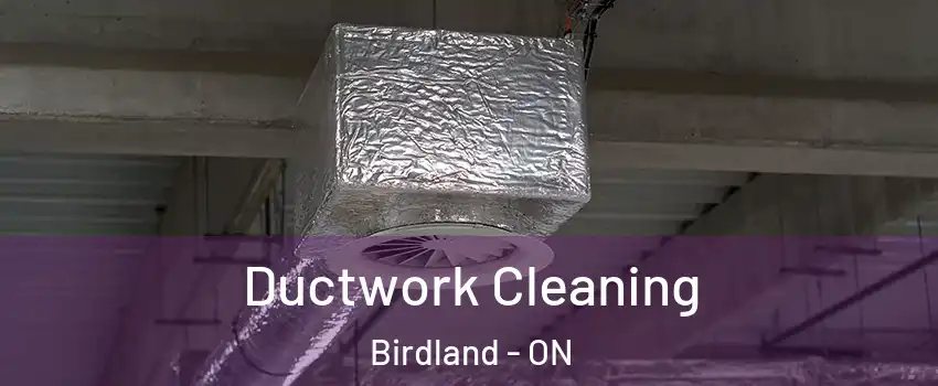  Ductwork Cleaning Birdland - ON