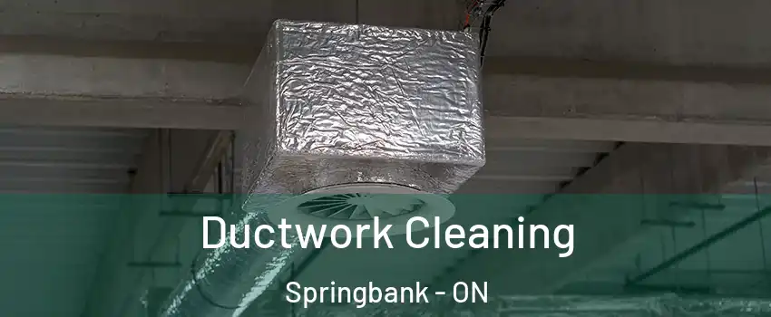  Ductwork Cleaning Springbank - ON