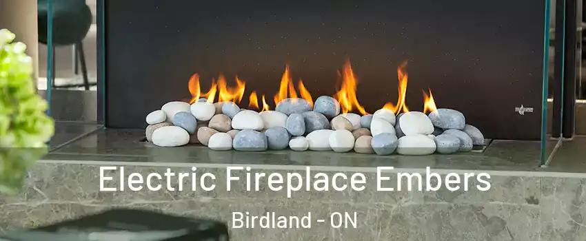  Electric Fireplace Embers Birdland - ON