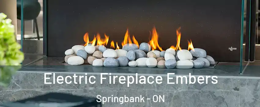  Electric Fireplace Embers Springbank - ON