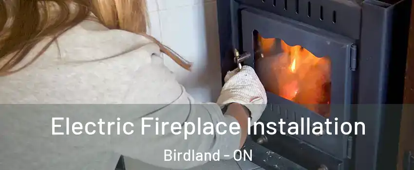 Electric Fireplace Installation Birdland - ON