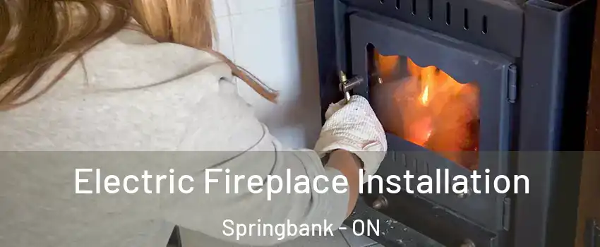  Electric Fireplace Installation Springbank - ON
