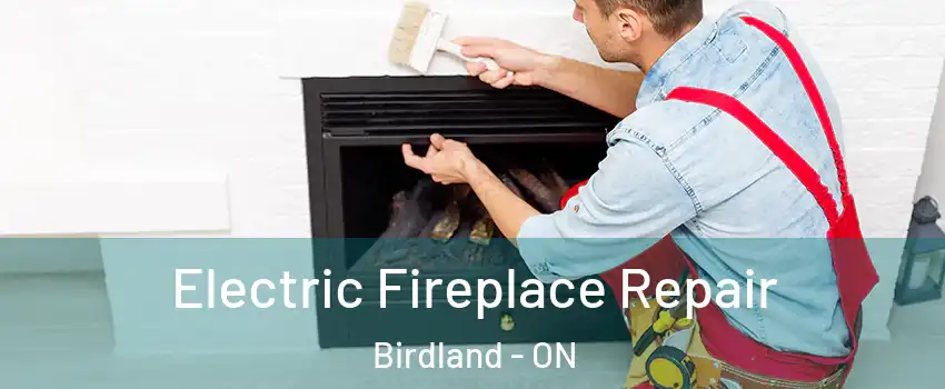  Electric Fireplace Repair Birdland - ON