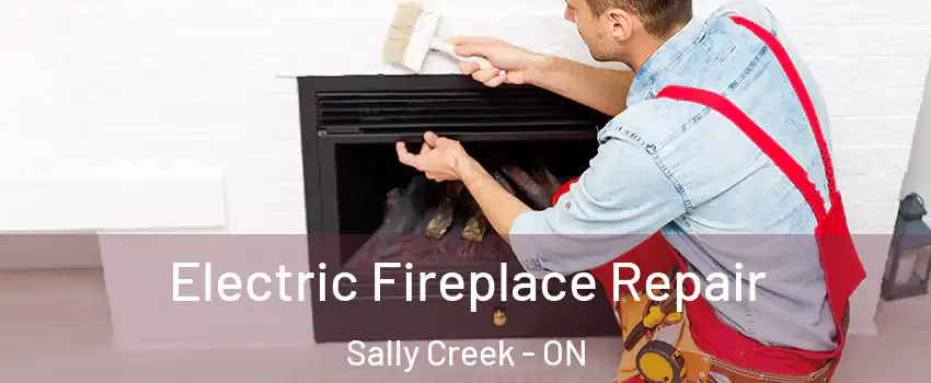  Electric Fireplace Repair Sally Creek - ON