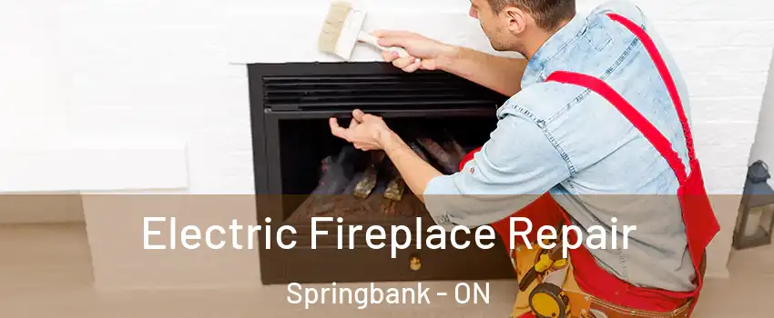  Electric Fireplace Repair Springbank - ON