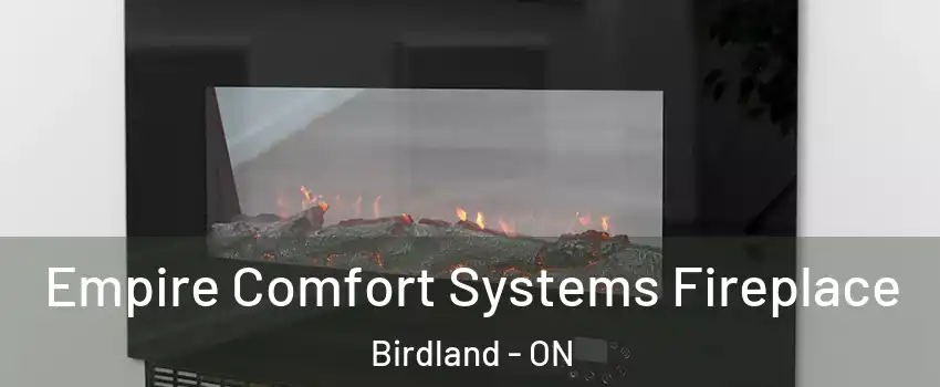 Empire Comfort Systems Fireplace Birdland - ON