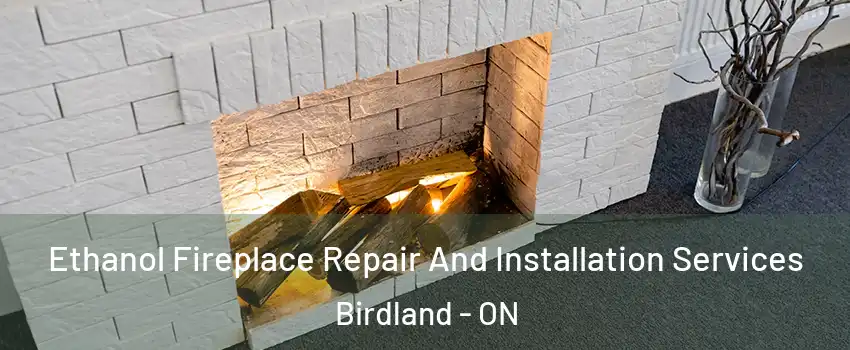  Ethanol Fireplace Repair And Installation Services Birdland - ON