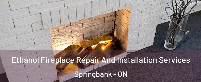  Ethanol Fireplace Repair And Installation Services Springbank - ON