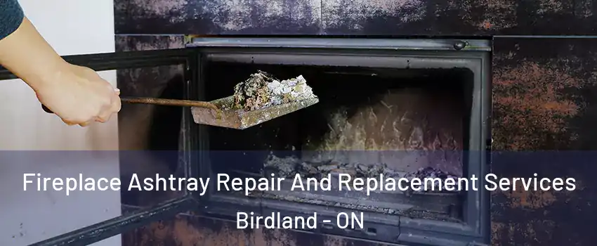  Fireplace Ashtray Repair And Replacement Services Birdland - ON