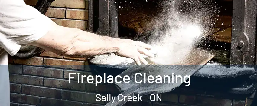  Fireplace Cleaning Sally Creek - ON