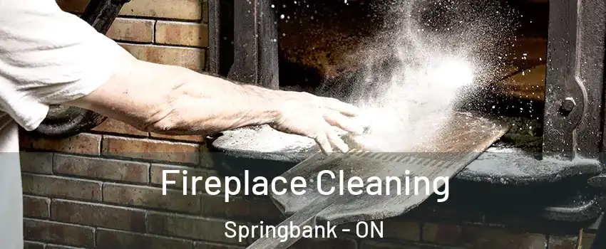  Fireplace Cleaning Springbank - ON