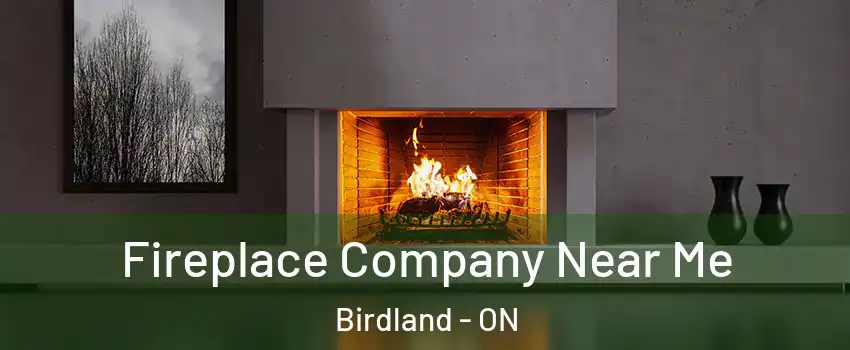  Fireplace Company Near Me Birdland - ON