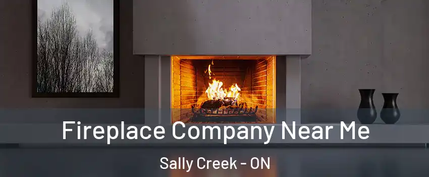 Fireplace Company Near Me Sally Creek - ON