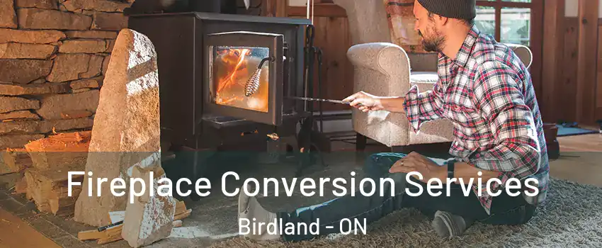  Fireplace Conversion Services Birdland - ON
