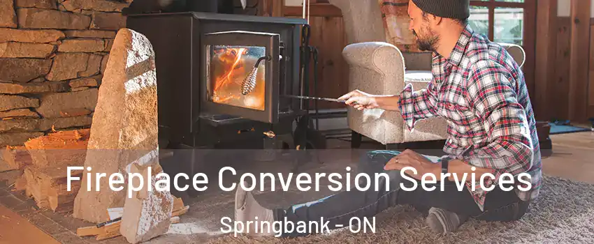  Fireplace Conversion Services Springbank - ON