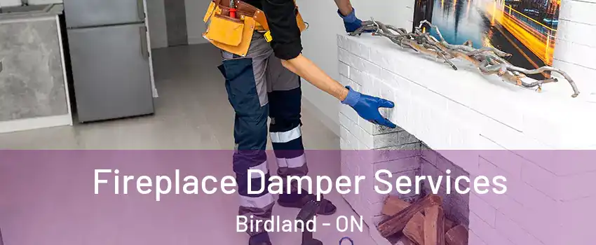  Fireplace Damper Services Birdland - ON