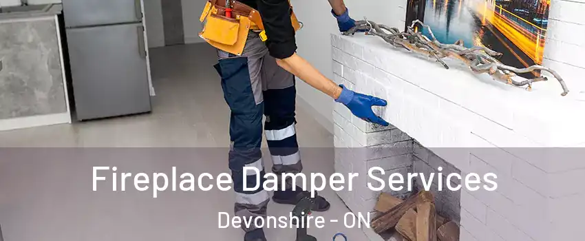  Fireplace Damper Services Devonshire - ON
