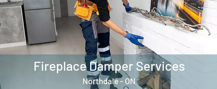  Fireplace Damper Services Northdale - ON