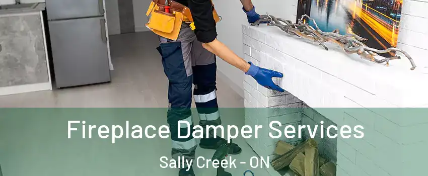  Fireplace Damper Services Sally Creek - ON