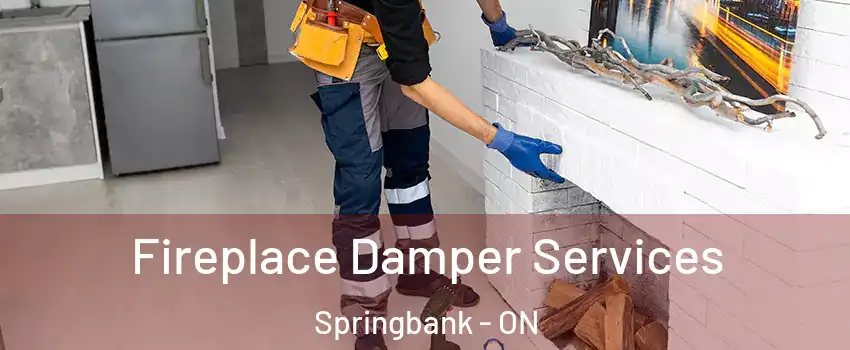  Fireplace Damper Services Springbank - ON