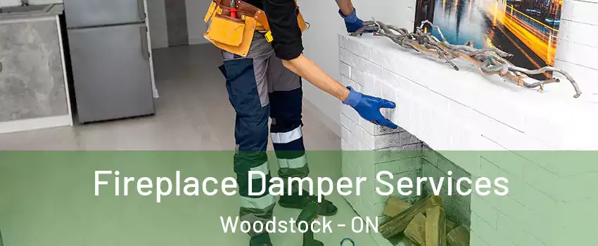  Fireplace Damper Services Woodstock - ON