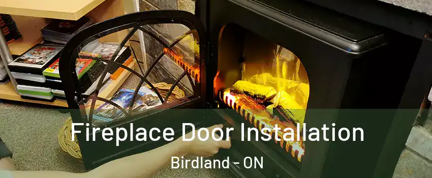  Fireplace Door Installation Birdland - ON