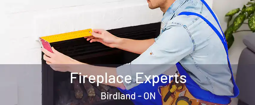  Fireplace Experts Birdland - ON