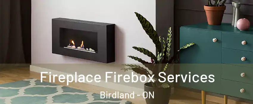  Fireplace Firebox Services Birdland - ON