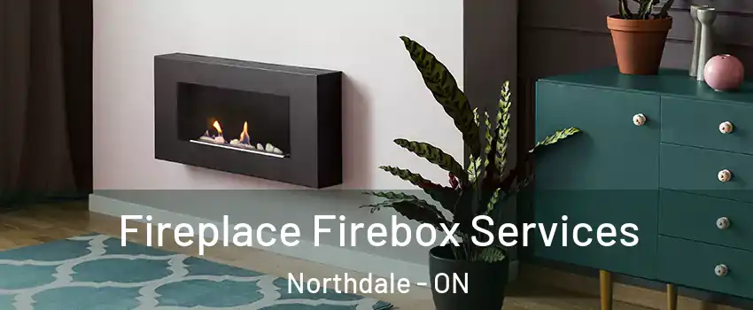  Fireplace Firebox Services Northdale - ON