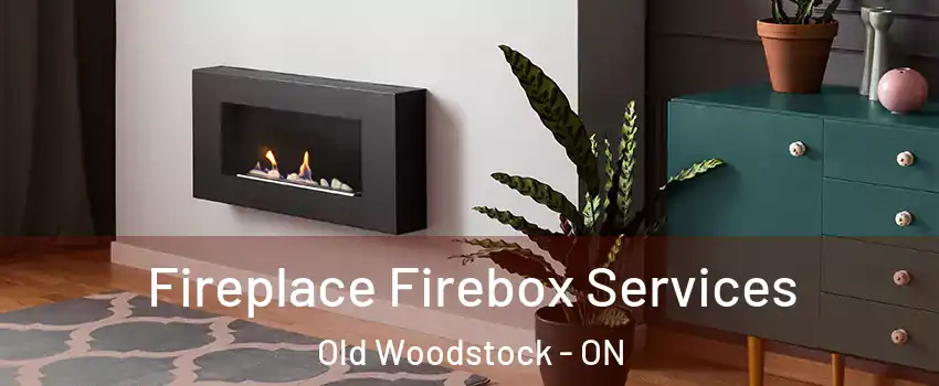  Fireplace Firebox Services Old Woodstock - ON
