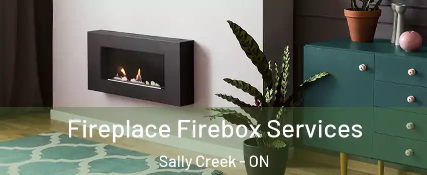  Fireplace Firebox Services Sally Creek - ON