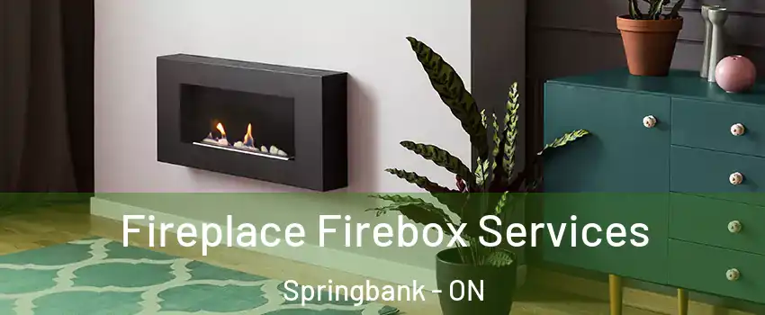  Fireplace Firebox Services Springbank - ON