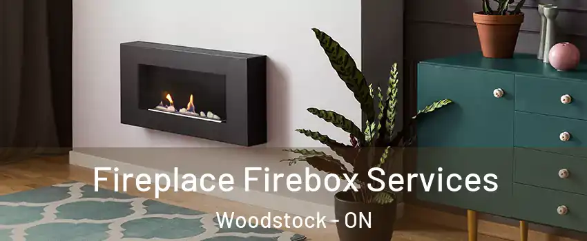  Fireplace Firebox Services Woodstock - ON