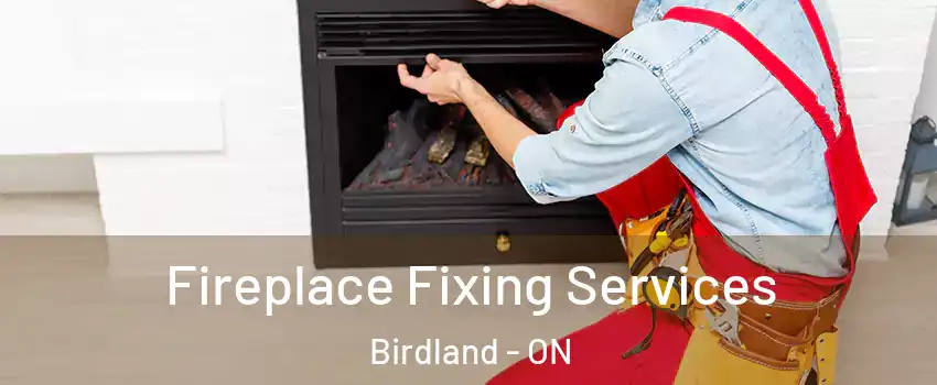  Fireplace Fixing Services Birdland - ON