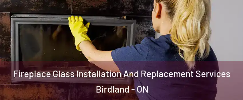  Fireplace Glass Installation And Replacement Services Birdland - ON