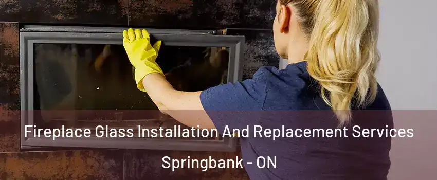  Fireplace Glass Installation And Replacement Services Springbank - ON