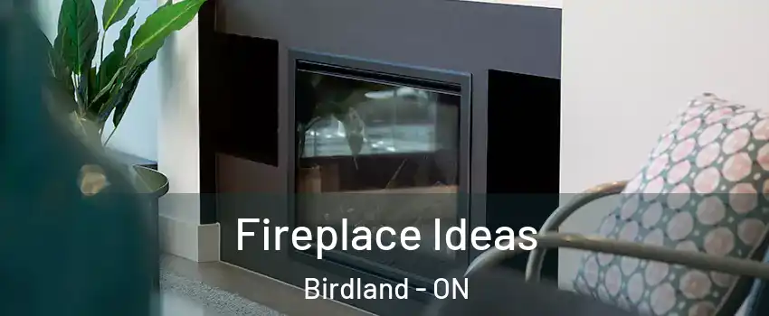  Fireplace Ideas Birdland - ON