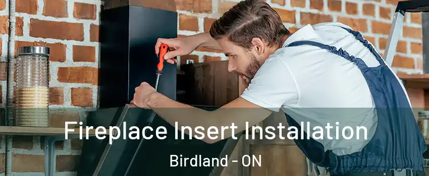  Fireplace Insert Installation Birdland - ON