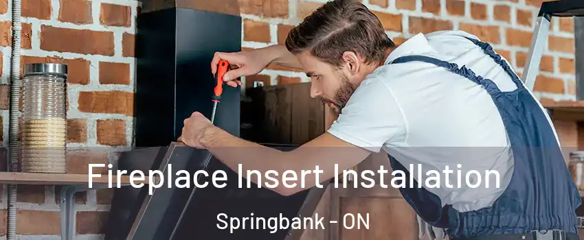  Fireplace Insert Installation Springbank - ON