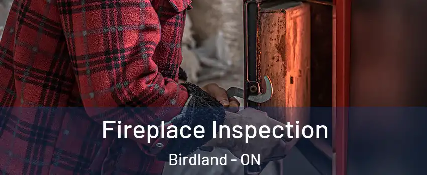  Fireplace Inspection Birdland - ON