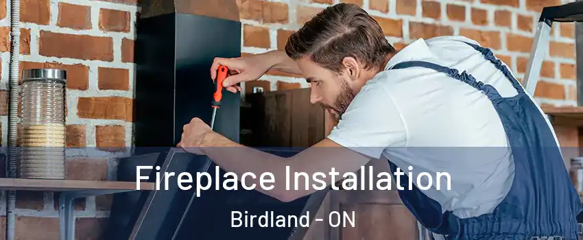  Fireplace Installation Birdland - ON
