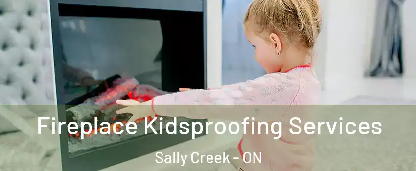  Fireplace Kidsproofing Services Sally Creek - ON