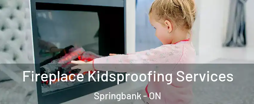  Fireplace Kidsproofing Services Springbank - ON