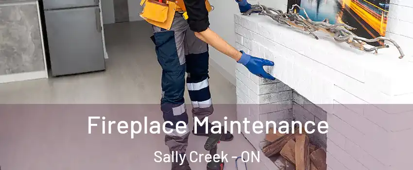  Fireplace Maintenance Sally Creek - ON