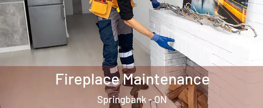  Fireplace Maintenance Springbank - ON