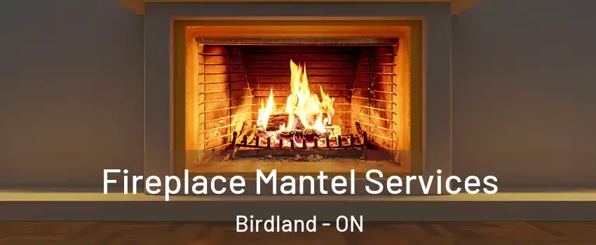  Fireplace Mantel Services Birdland - ON