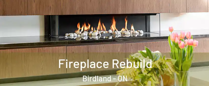  Fireplace Rebuild Birdland - ON