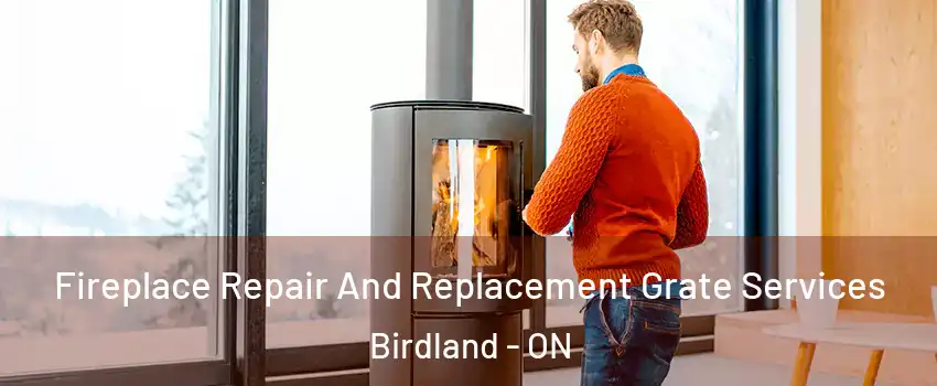 Fireplace Repair And Replacement Grate Services Birdland - ON