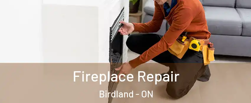  Fireplace Repair Birdland - ON